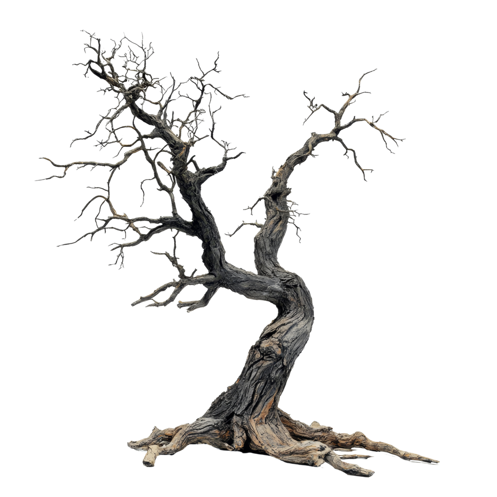 An eerie, ancient tree stands isolated against a stark transparent background, evoking a sense of spookiness and mystery, old dead spooky tree isolated on transparent background png