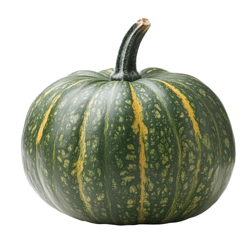 Fresh green pumpkin with golden stripes on a clean transparent background showcasing natural beauty and texture, Green pumpkin isolated on transparent background png