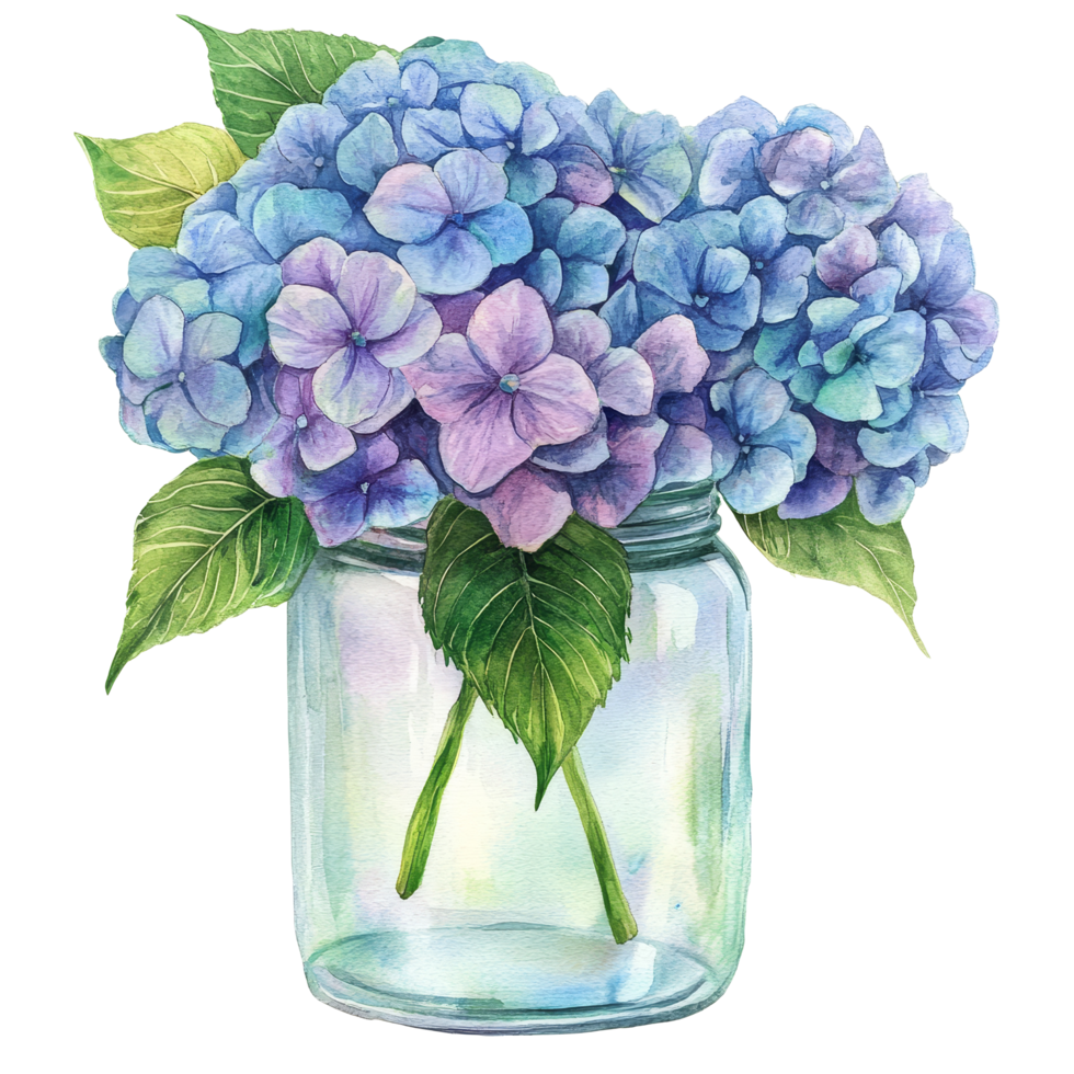 Beautiful watercolor hydrangea flowers in a jar with fresh green leaves isolated on a bright background, hydrangea flowers in a jar isolated on a transparent background. hydrangea flower transparent png