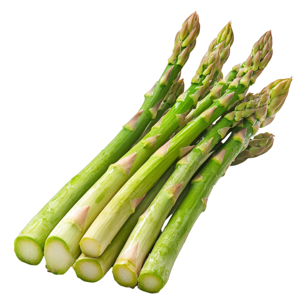 Fresh green asparagus arranged neatly on a transparent background for culinary use and presentation, Asparagus isolated on transparent background png