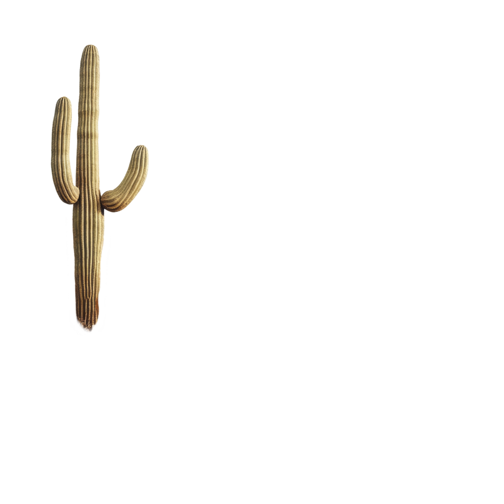 Explore a serene desert landscape featuring cacti and rocky formations under a bright sky in the wild west, Desert Landscape on transparent background png