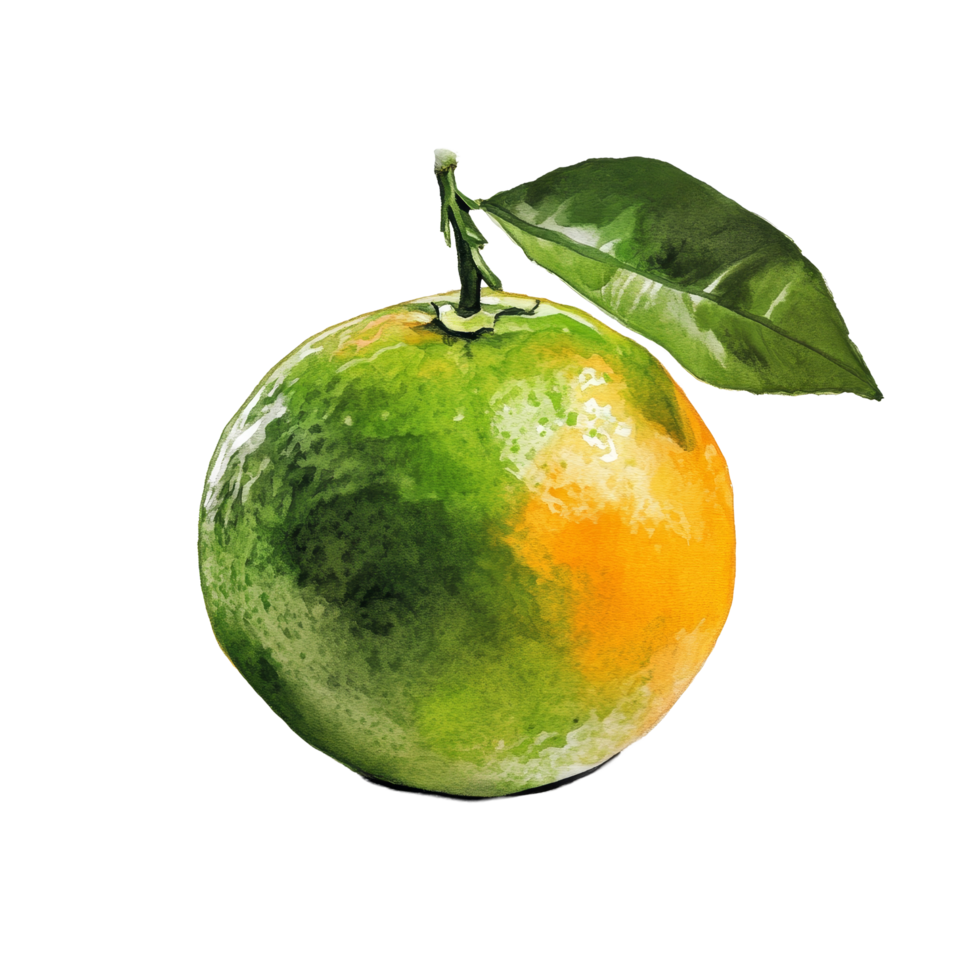 Fresh green and orange tangerine with leaf on a bright transparent background showcasing vibrant fruit colors, green orange tangerine on transparent background png