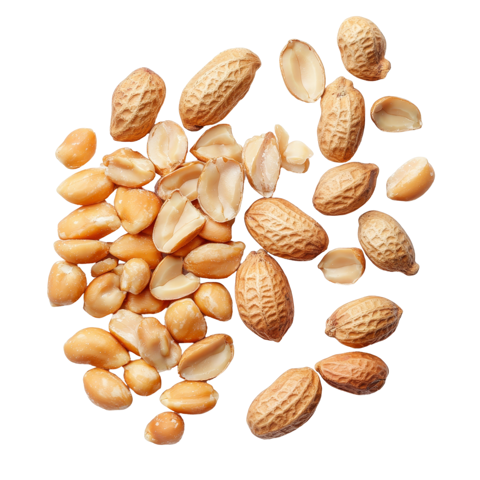 A collection of peeled and unpeeled peanuts arranged on a transparent background showcasing their texture and diversity, Group of peeled and unpeeled peanuts isolated on transparent background png