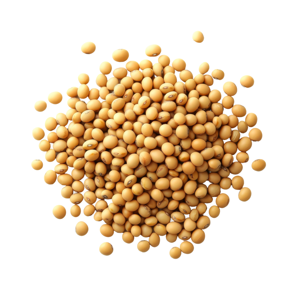 Soybean seeds scattered on a smooth transparent background showcasing natural texture and color, Soybeans seeds on transparent background png