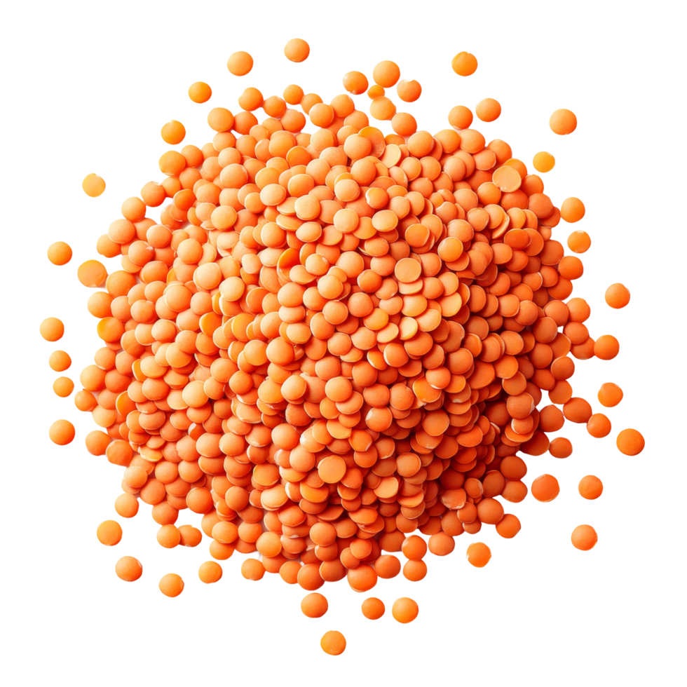 Red lentils carefully arranged, showcasing their vibrant color on a clean transparent background for culinary inspiration, red lentils isolated on transparent background png