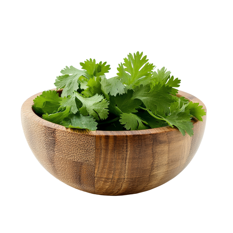 Fresh coriander leaves in a wooden bowl on a transparent background creating a natural and inviting culinary display, coriander leaf in wood bowl isolated on transparent background png