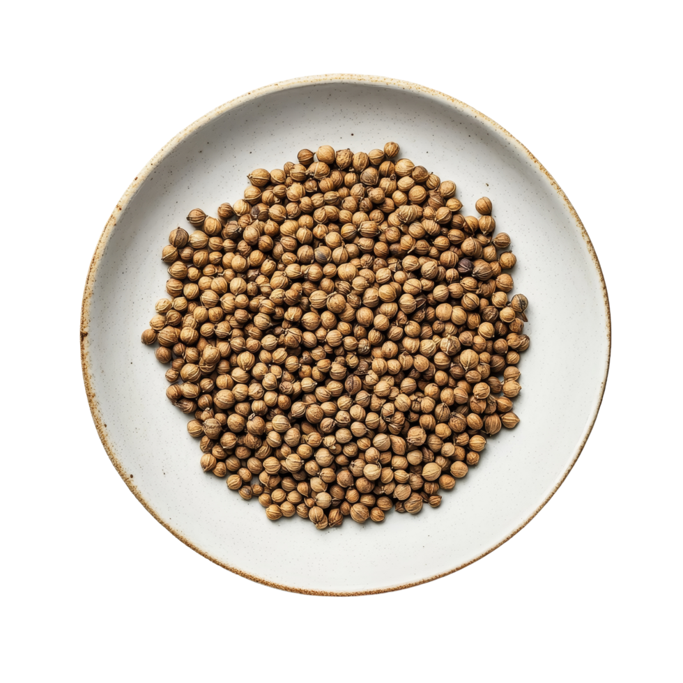 Coriander seeds arranged neatly in a round plate on a clean transparent surface showcasing their natural brown tones and unique textures, coriander seeds in plate on transparent background png