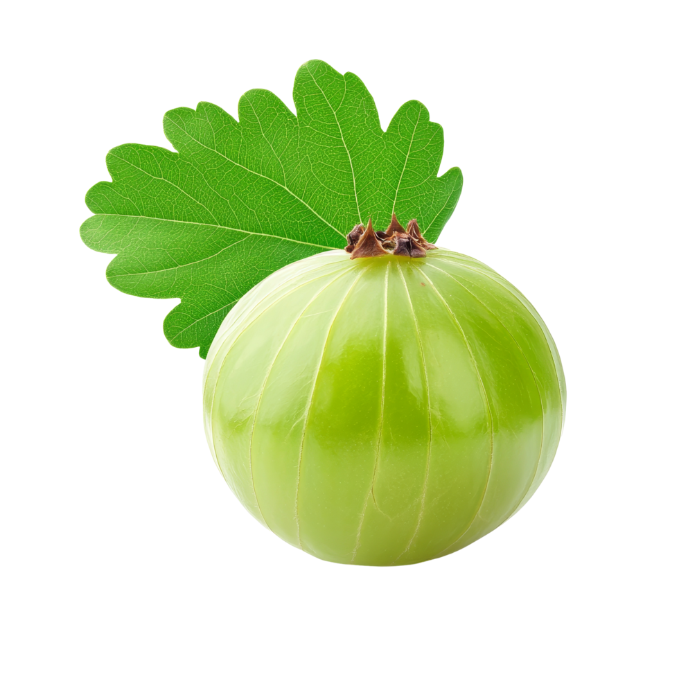 Indian gooseberry with a leaf isolated on a transparent background showcasing its vibrant color and texture, Indian gooseberry with leaf isolated on transparent background png
