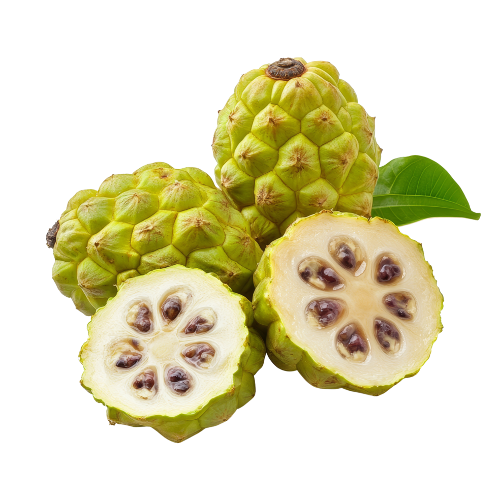 Exotic noni fruits on a plain transparent background showcasing their unique texture and vibrant green skin, Exotic Fruit, Noni fruits on transparent background png