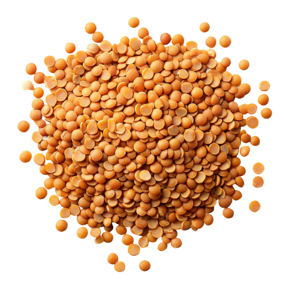 Lentils arranged in a heap on a transparent background showcasing their vibrant color and texture, Lentils isolated on transparent background png