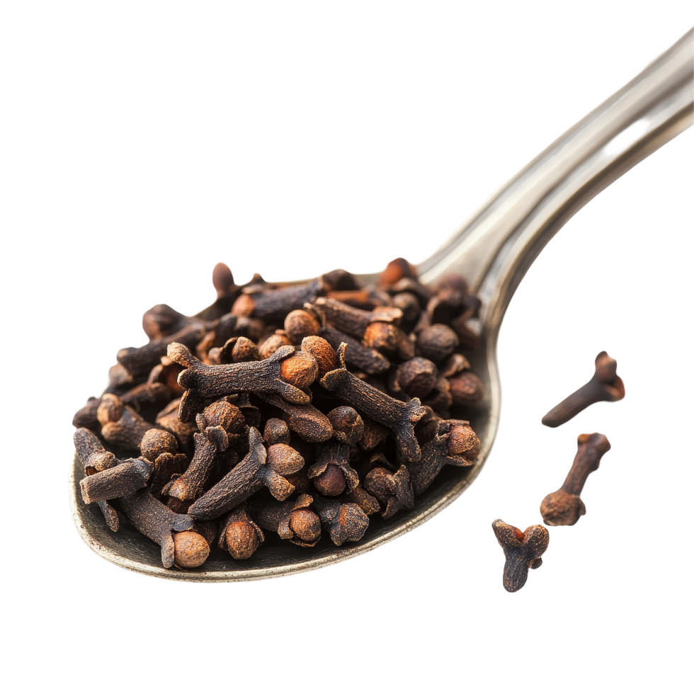Whole cloves in a silver spoon against a transparent background highlighting their rich color and texture in culinary uses and spices, cloves spices in spoon on transparent background png