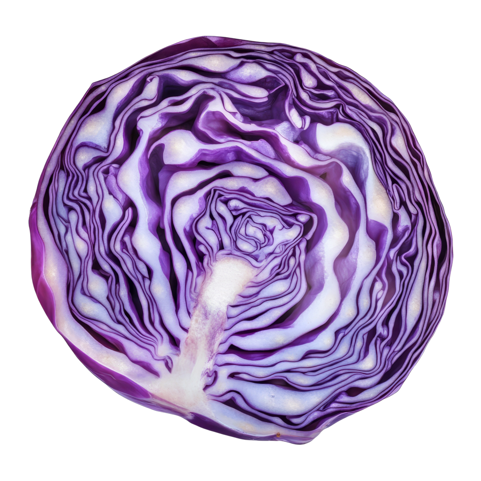 Sliced purple cabbage showcasing vibrant color and texture on a transparent background for culinary use and presentation, slice purple cabbage isolated on transparent background png