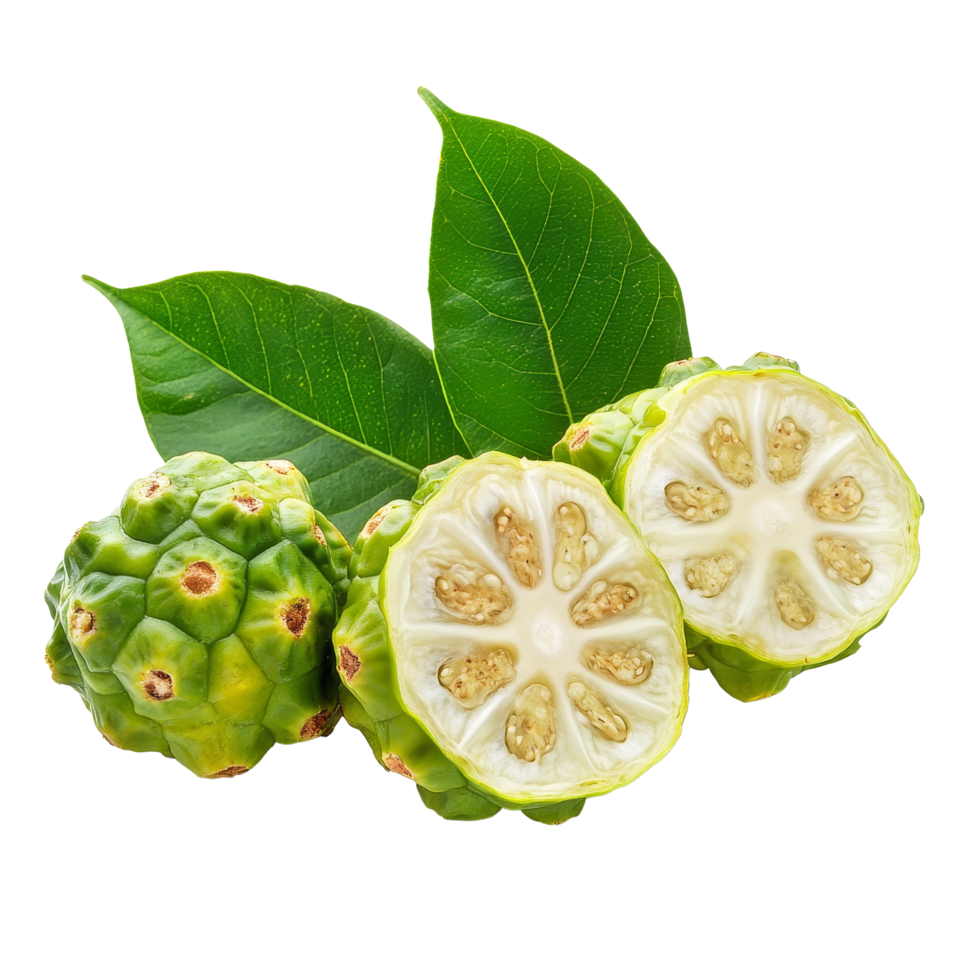 Noni fruit freshly cut in half, showcasing its unique texture and seeds on a transparent background, Noni fruit isolated on transparent background png