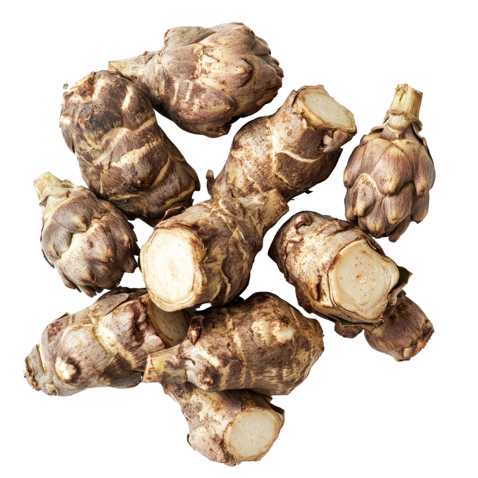 Fresh Jerusalem artichokes displayed on a transparent background, showcasing their unique shape and texture naturally, Jerusalem artichoke on transparent background png