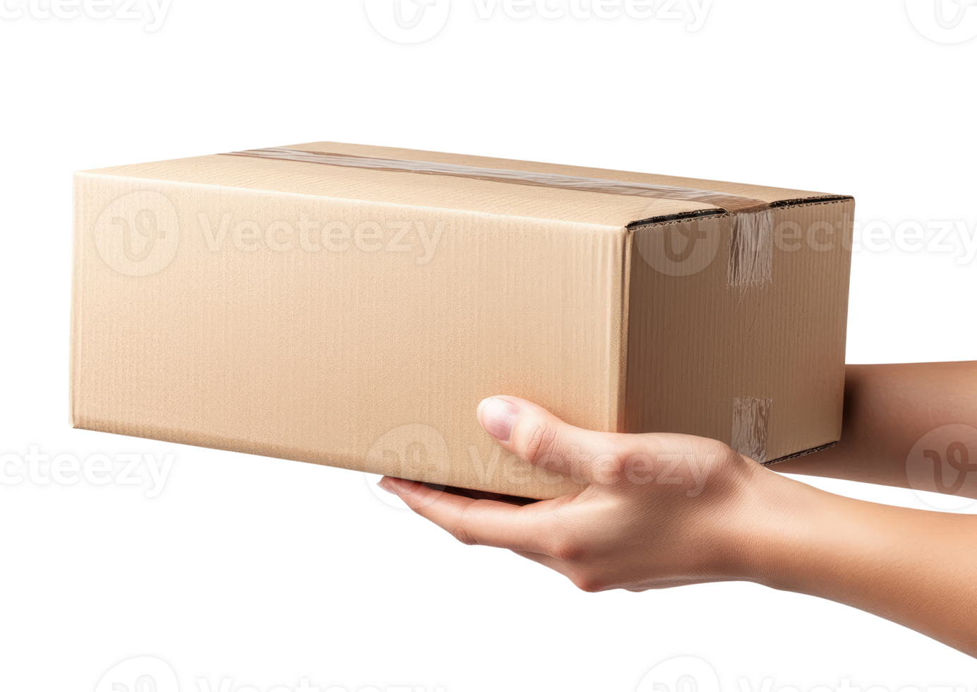 Woman Hands with Cardboard Box png