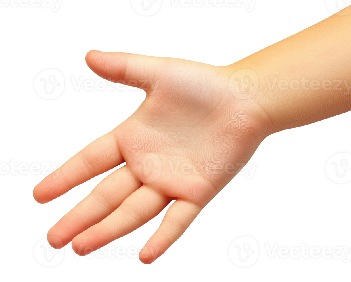Open Child Hand, Cut Out png