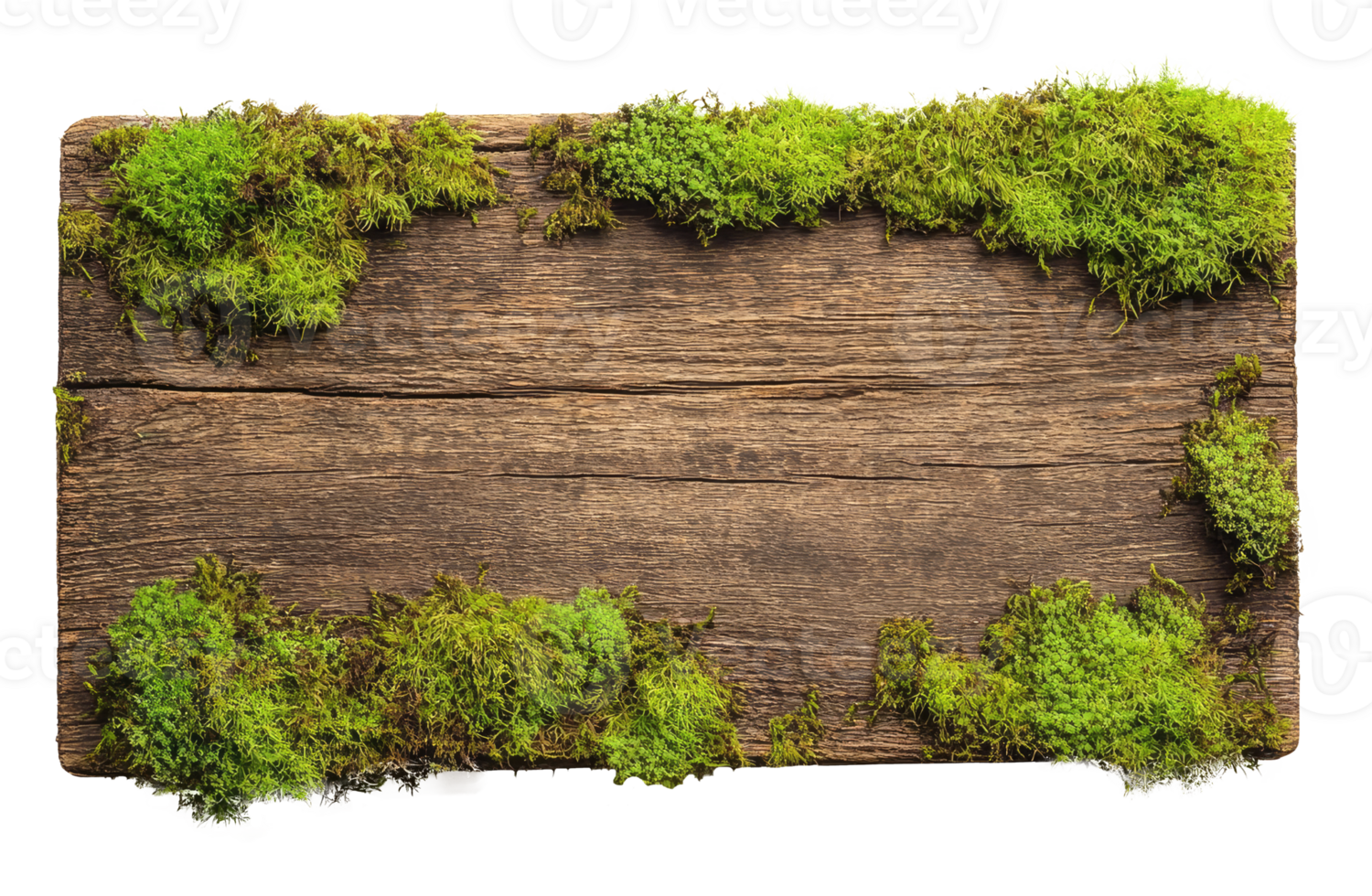 Wooden Board with Moss png