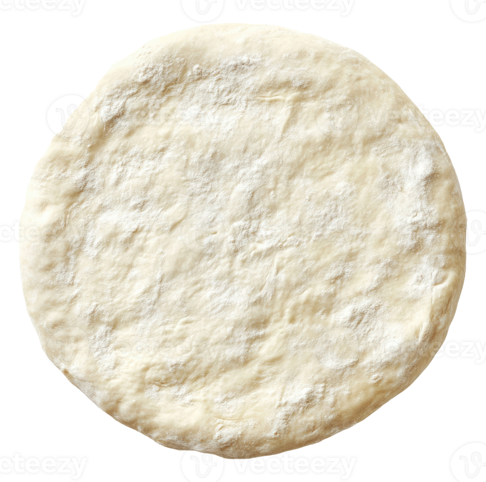 Uncooked Round dough png