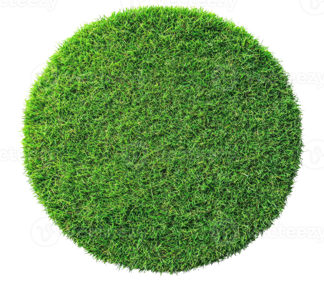 Circle made of green grass, cut out png