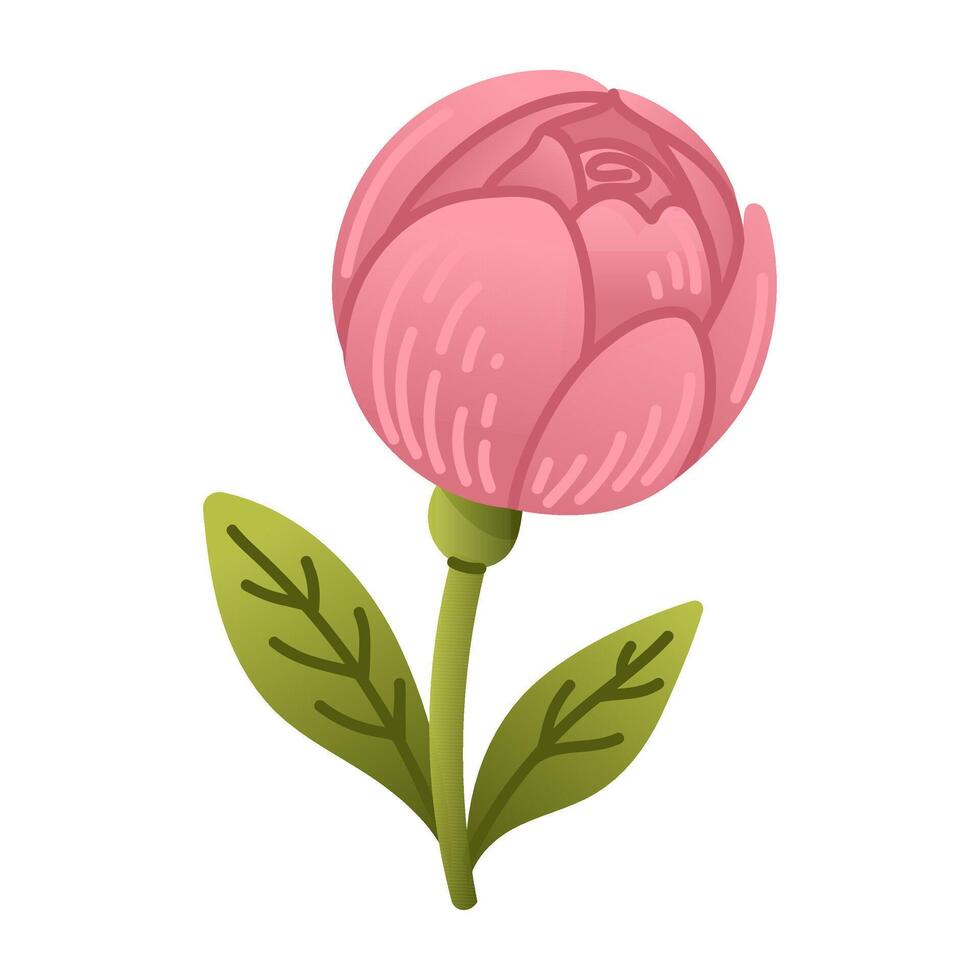 Illustration of a beautiful pink flower bud with green leaves in a cute hand drawn style vector