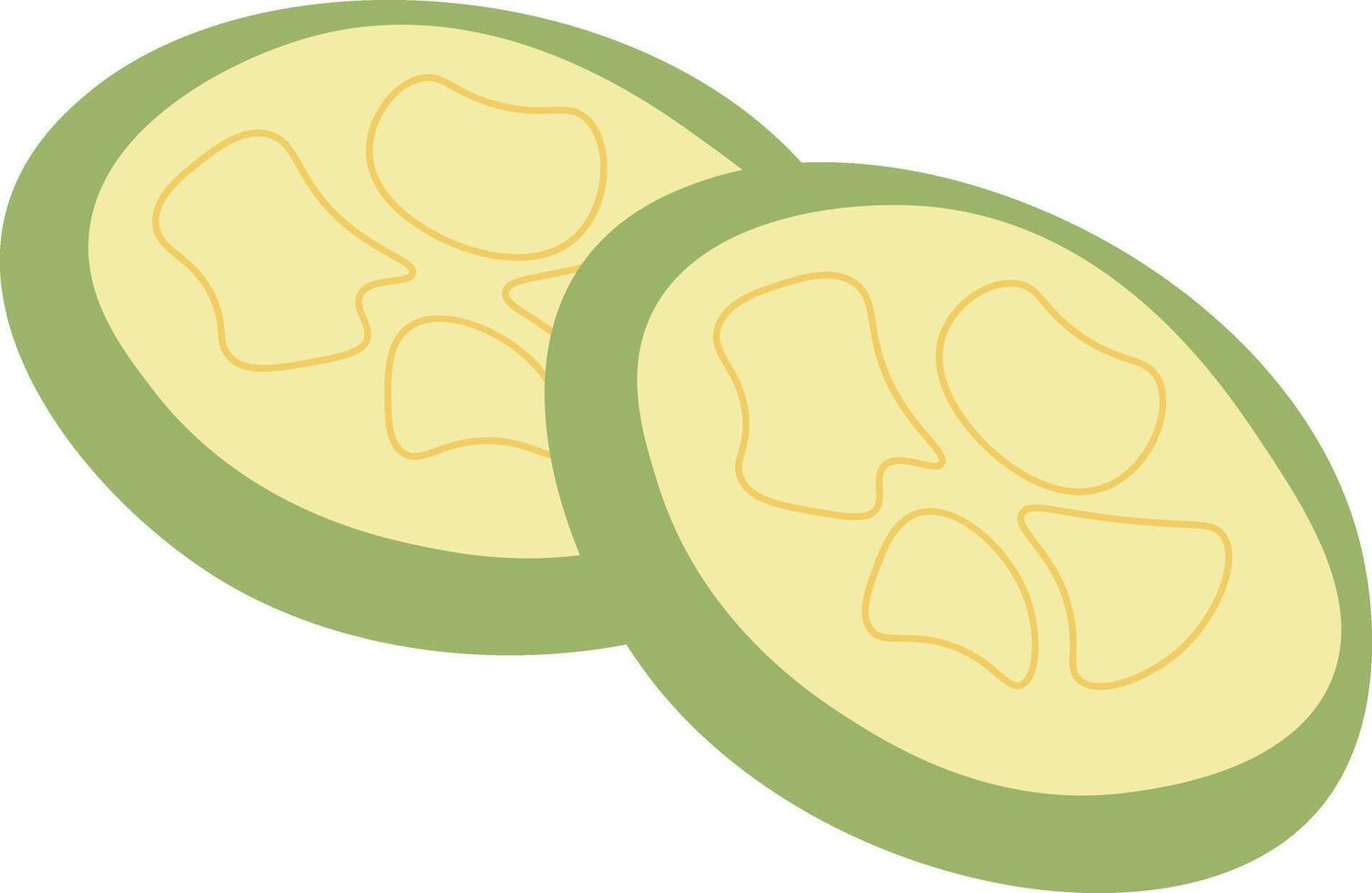 Illustration of Cucumber Slices vector