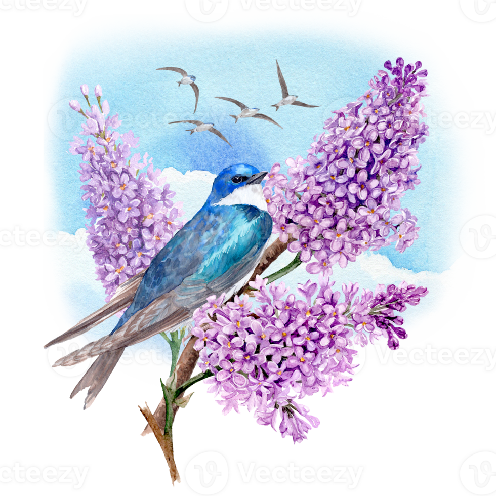 A hand drawn Swallow sitting in the lilac with blue sky background and a flock of swallows in the distance png