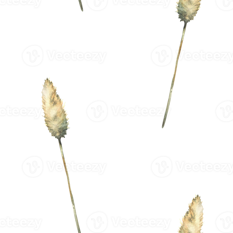 Pampas grass. Dry blade of grass. Boho floral cream coloured seamless pattern. Watercolor hand painted illustration. Botanical herbal fabric, wallpaper, wrapping, scrapbooking on isolated background png