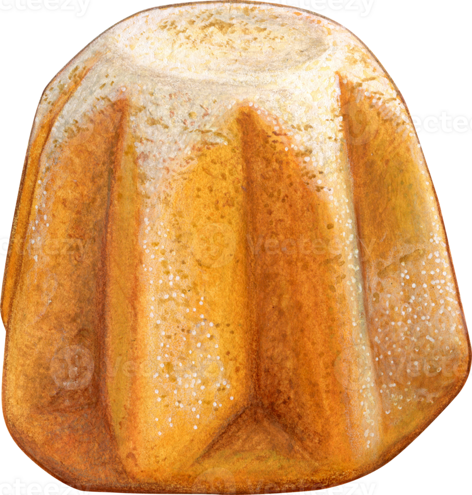 Watercolor hand drawn christmas traditional pandoro png