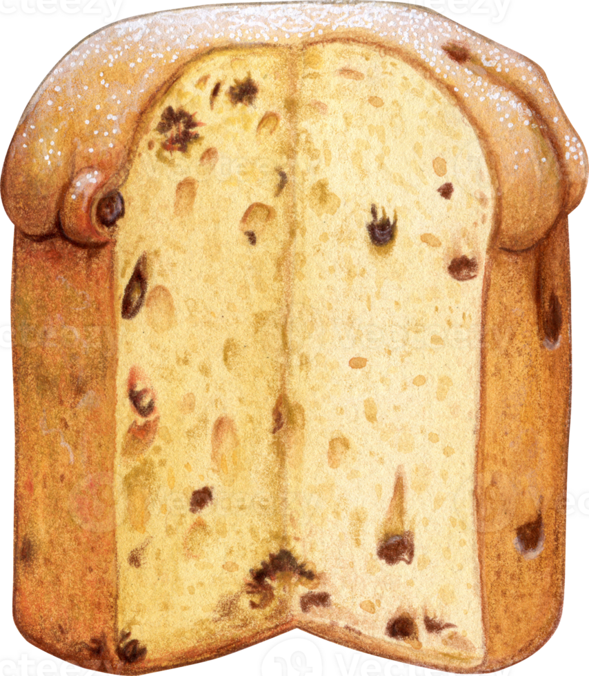 Watercolor hand drawn christmas traditional panettone png