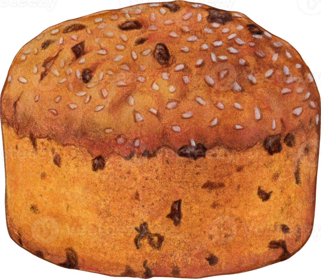 Watercolor hand drawn christmas panettone png