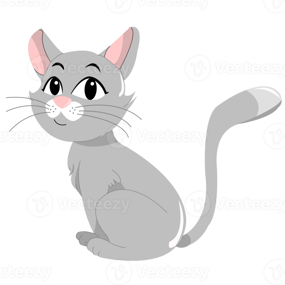Grey cat sit on the floor png