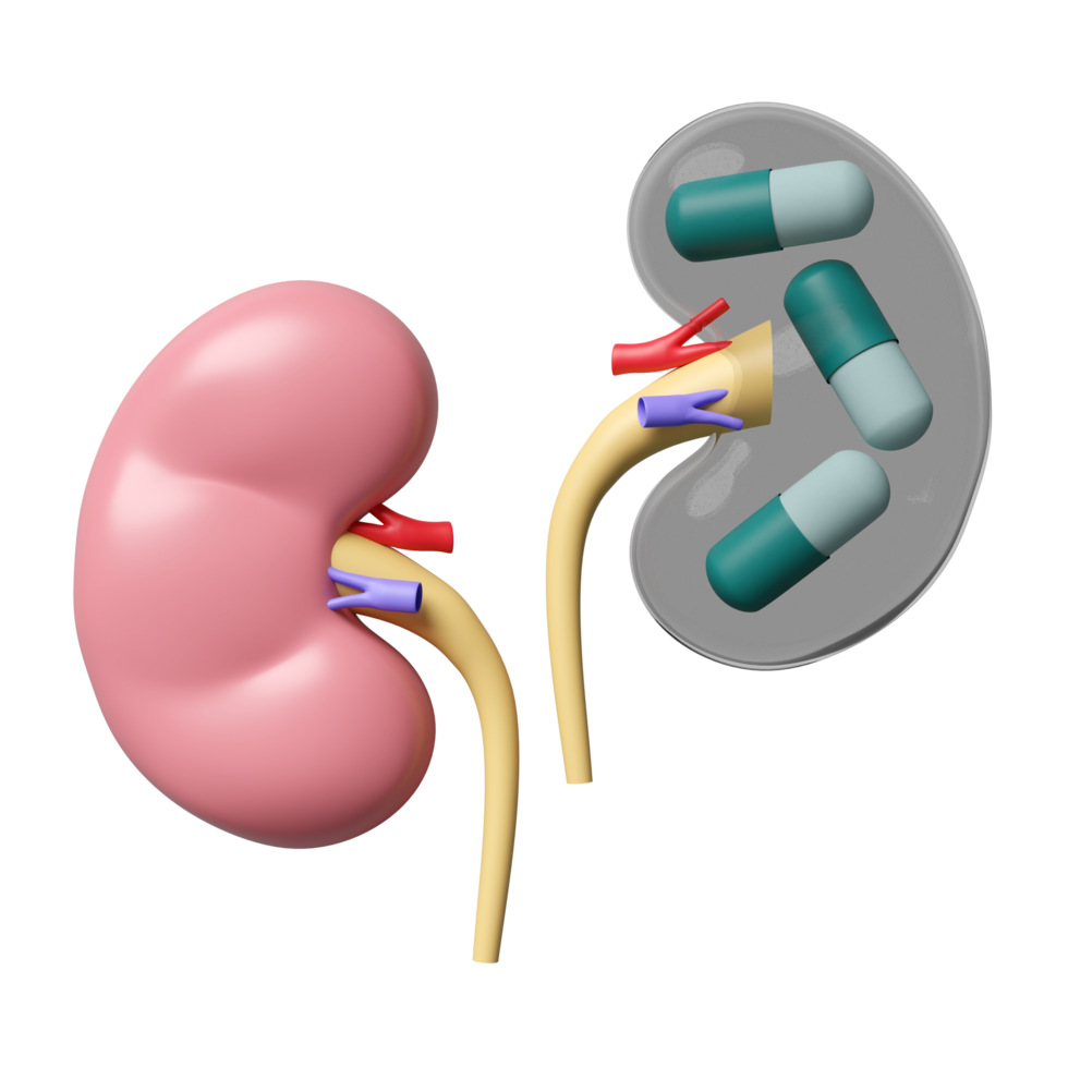 3d Innovation of kidney disease medicine isolated. medicare, world kidney day concept, 3d illustration render png