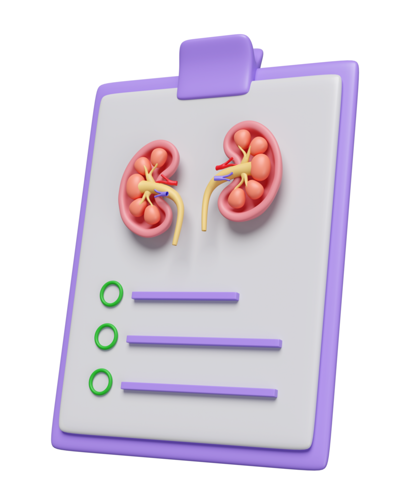 3d check list for health with kidney isolated. health check report, medicare concept, 3d illustration render png