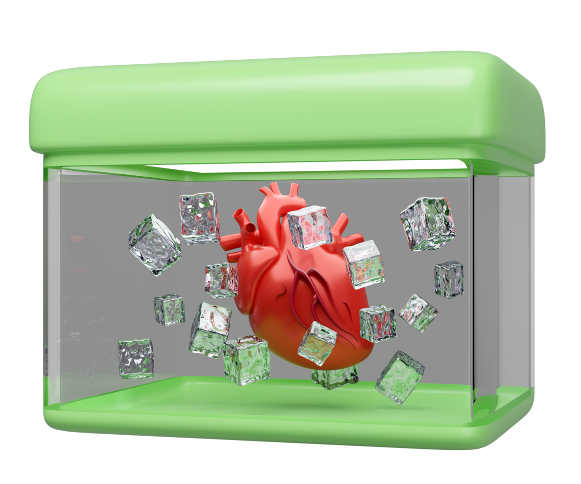 3d realistic human heart in cold storage tank isolated. organ transport concept, 3d illustration render png