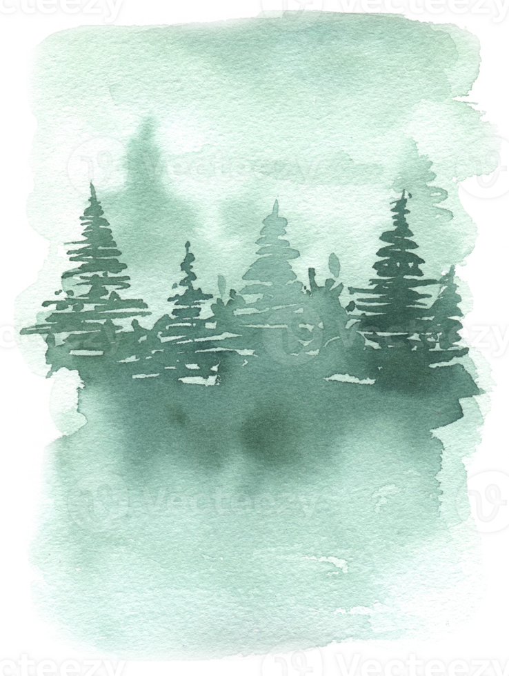 Watercolor evergreen forest landscape illustration png
