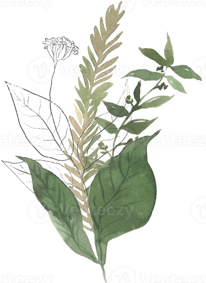 Watercolor greenery floral leaf illustration png
