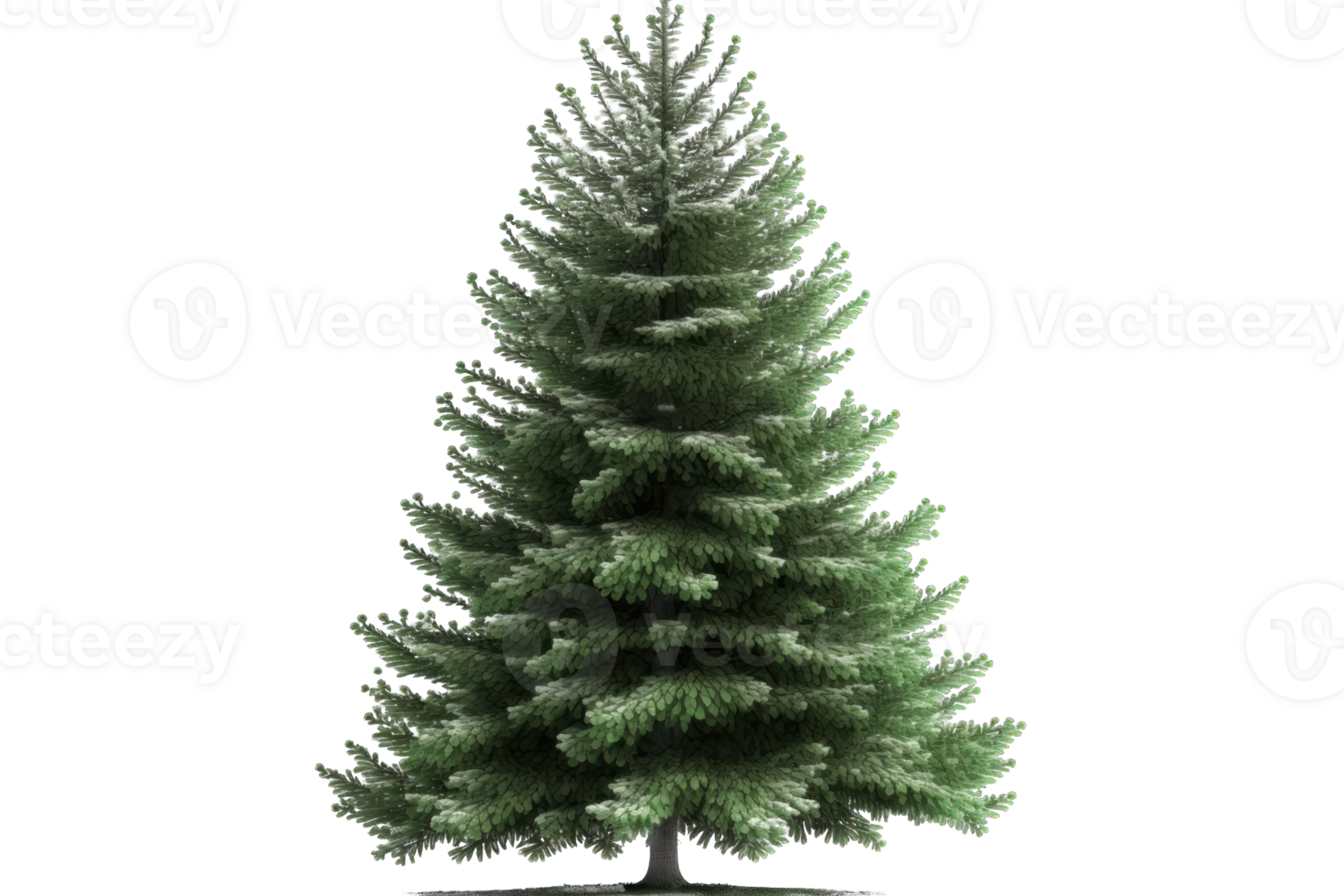 Festive Illumination A Whimsical Christmas Tree Comes to Life, Adorning a Transparent Canvas with Holiday Cheer and Enchantment. png