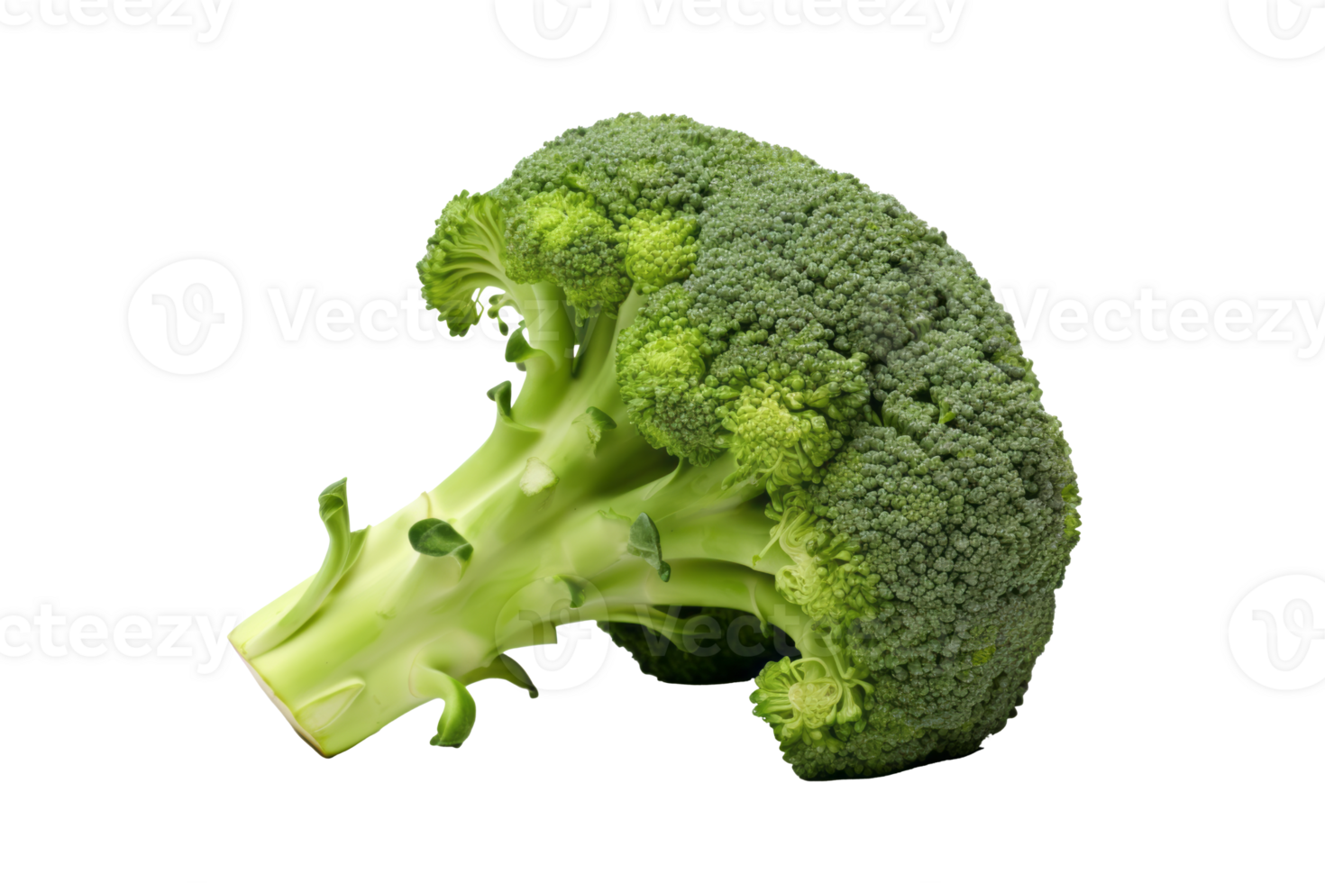 Vibrant Green Broccoli A Fresh Harvest on a Clear Canvas, Ready to Add Nutritional Flavor to Your Culinary Creations. png