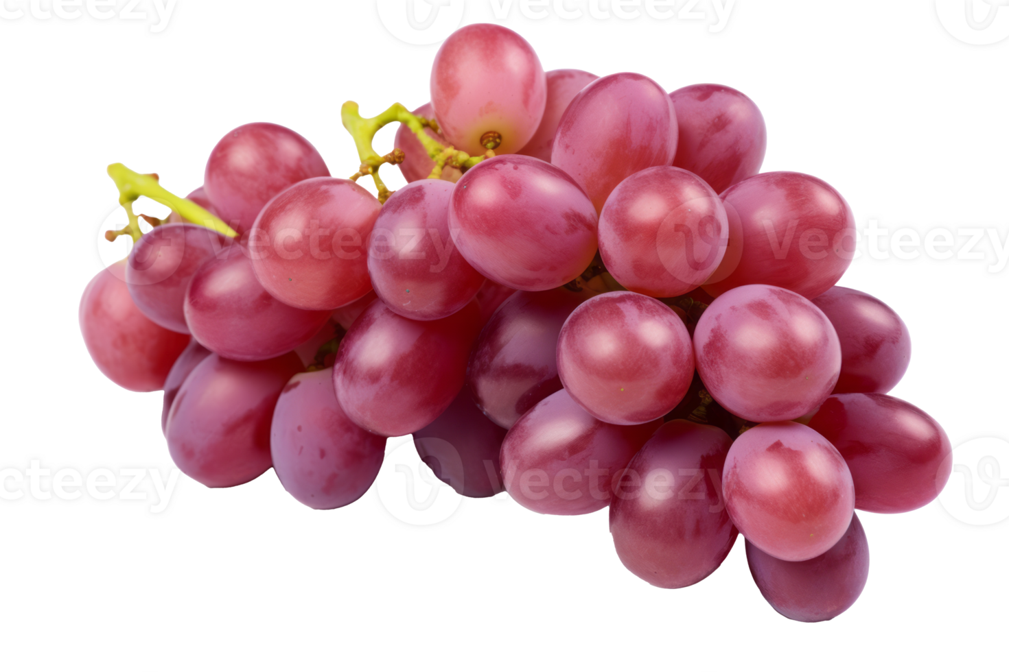 Fresh Grapes Cluster Isolated High Quality Image with Transparent Background png