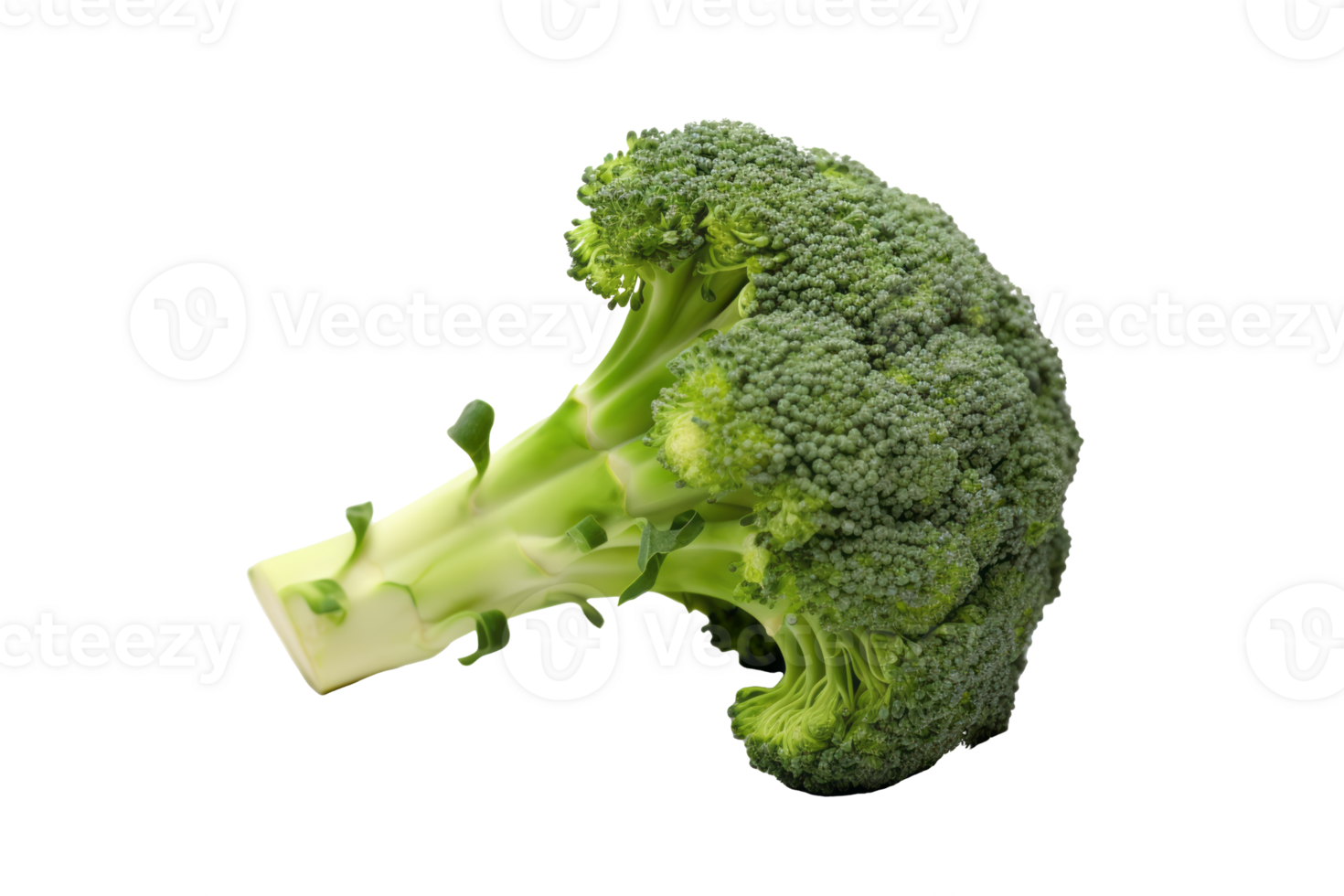 Vibrant Green Broccoli on Transparent Canvas A Fresh Delight Perfect for Culinary Creations and Healthful Inspirations. png