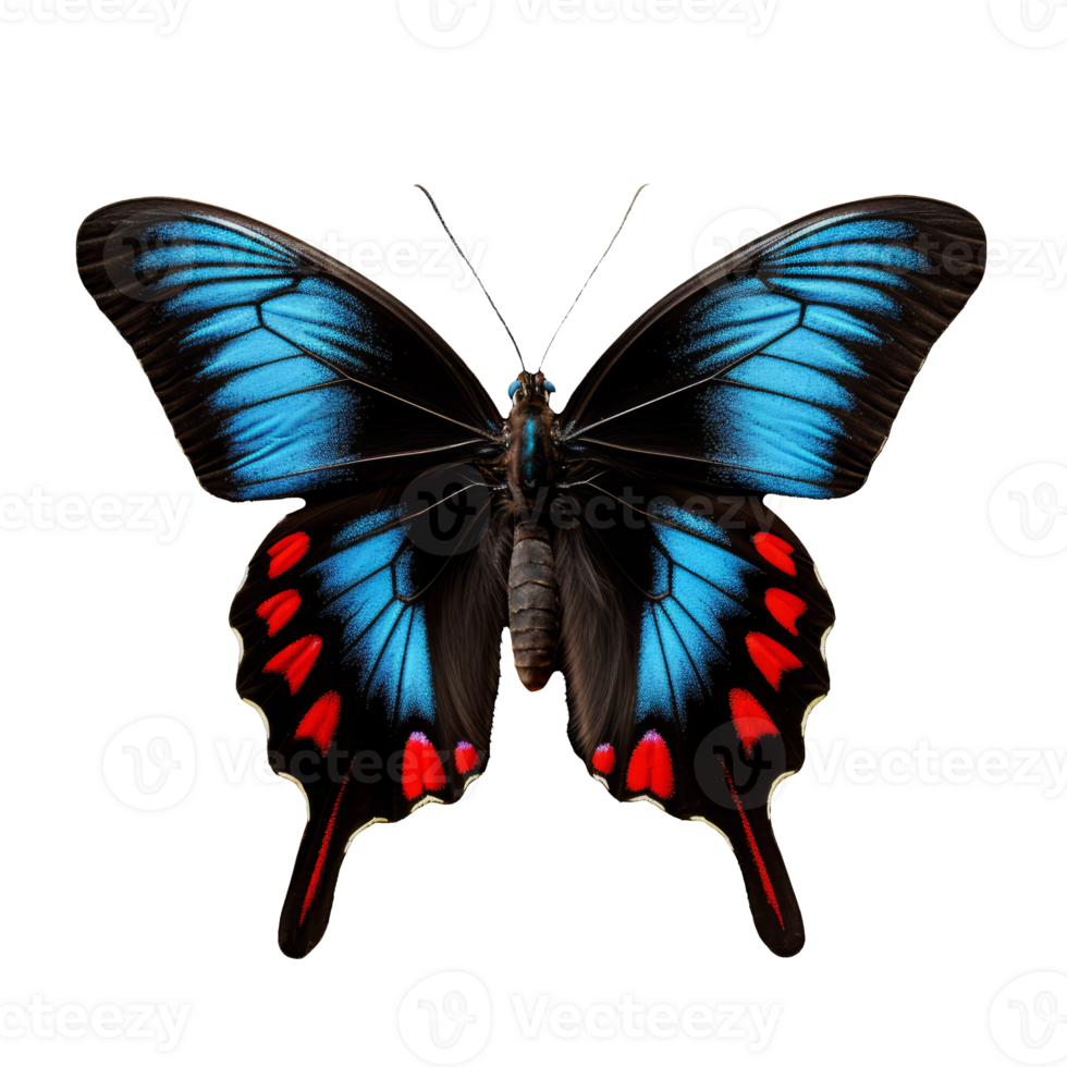 Wings of Enchantment A Butterfly Dances in Electric Blue and Bold Red on a Whisper of Transparency. png