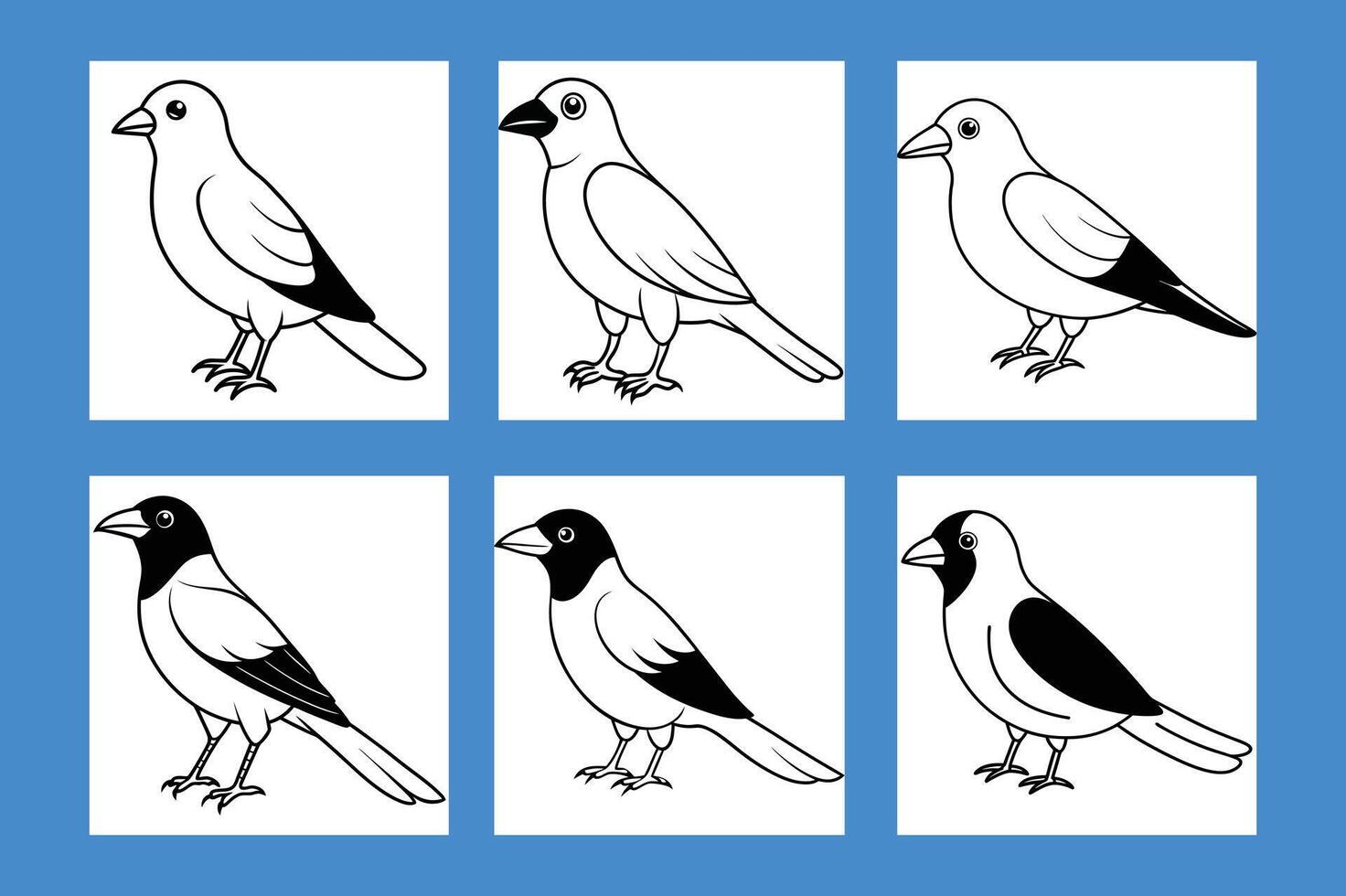 cute image of a jackdaw. vector
