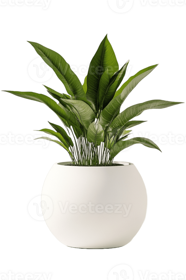 A white planter with a green plant in it png