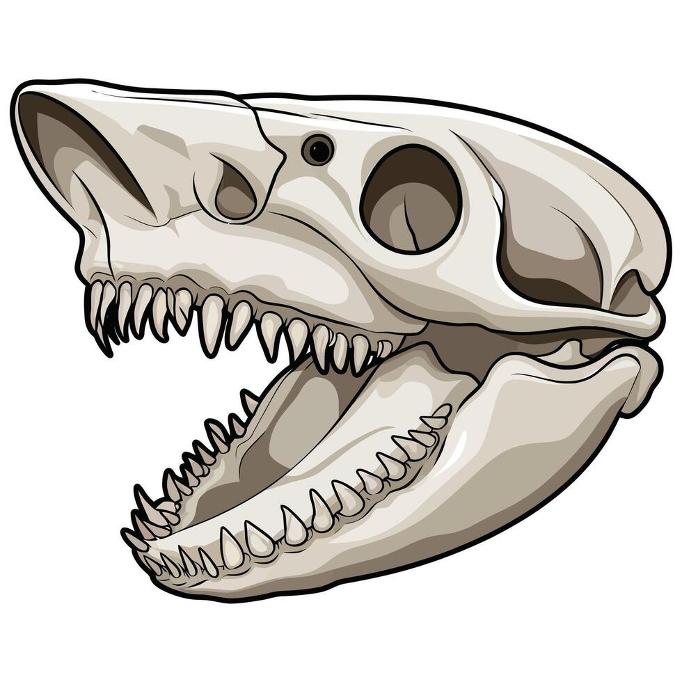 Silhouette of a Shark Skull. vector