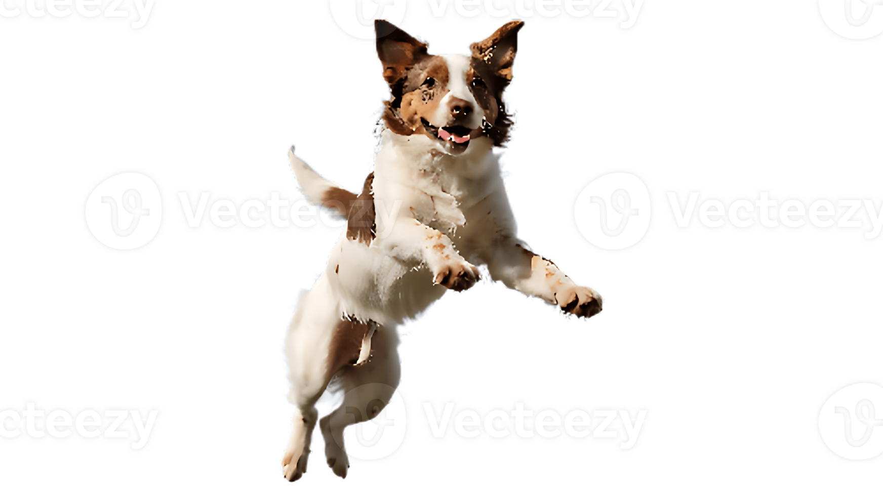 A dog jumping in the air with its mouth open png