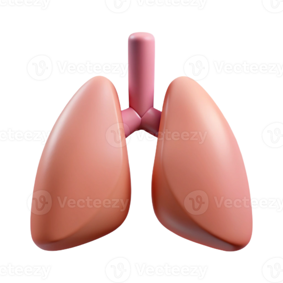 serene vintage Mindful Breathing Lungs Icon Isolated original png
