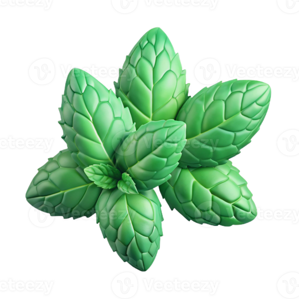 elegant rustic Mint Leaves Isolated detailed png