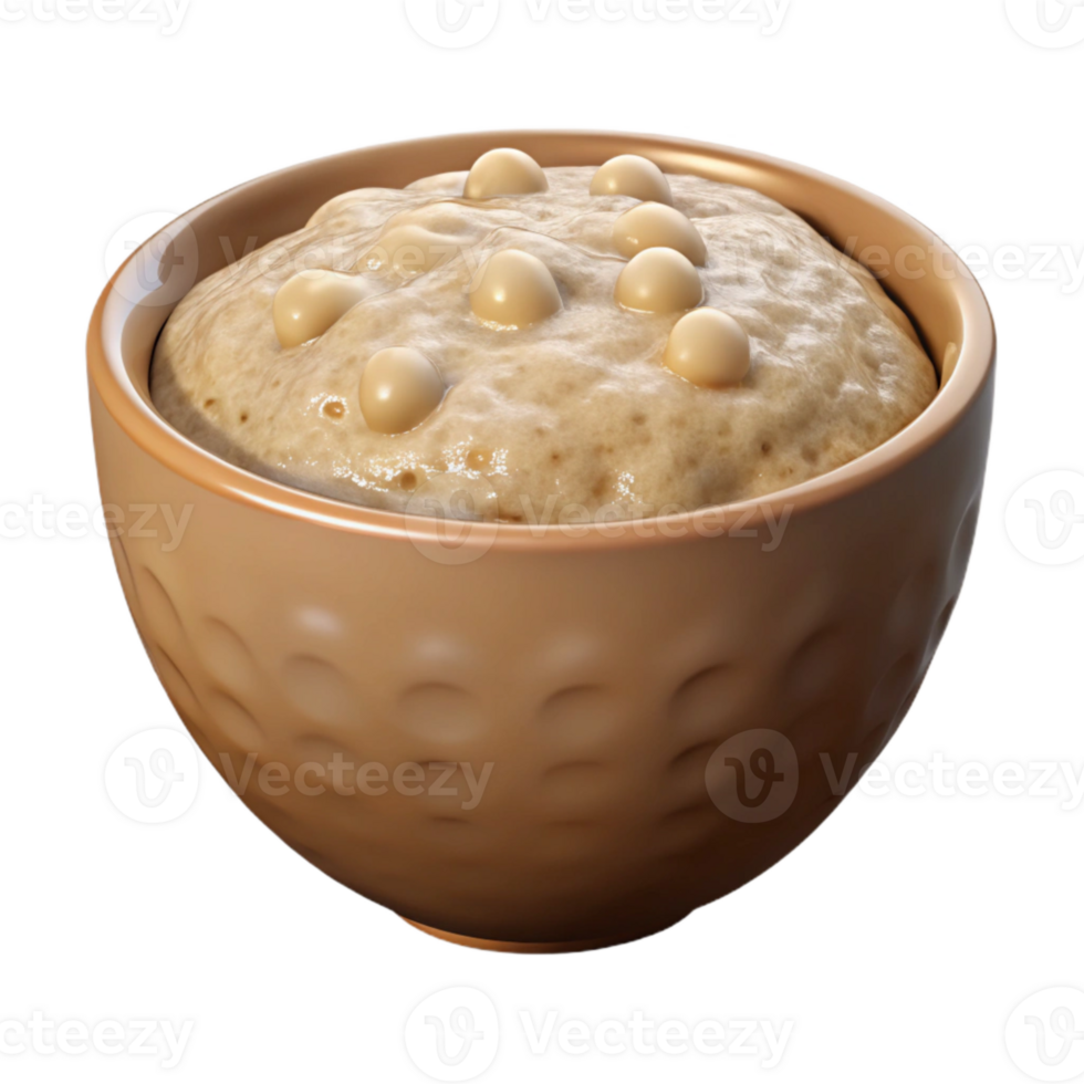 wonderful minimalist Oatmeal Bowl with Transparent Background authentic png