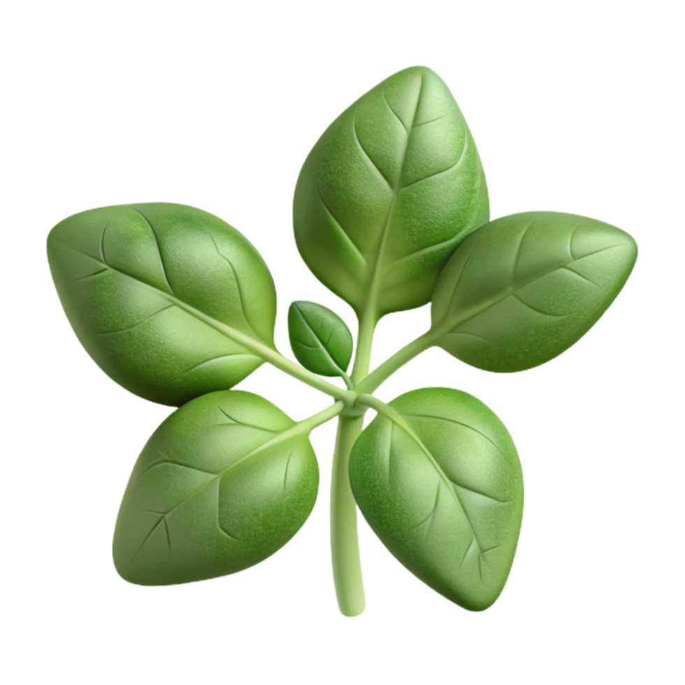 dramatic vintage Oregano Sprig Cutout Transparent Background authentic png