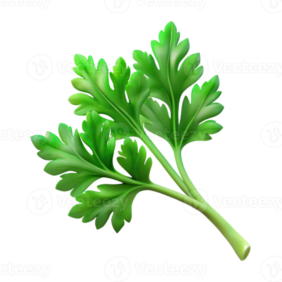 elegant abstract Parsley Sprig Cutout with Fresh Green Color original png